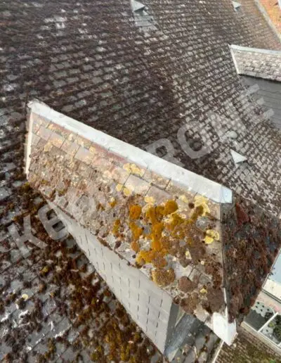Toit en tuiles avec mousse et lichens visibles.