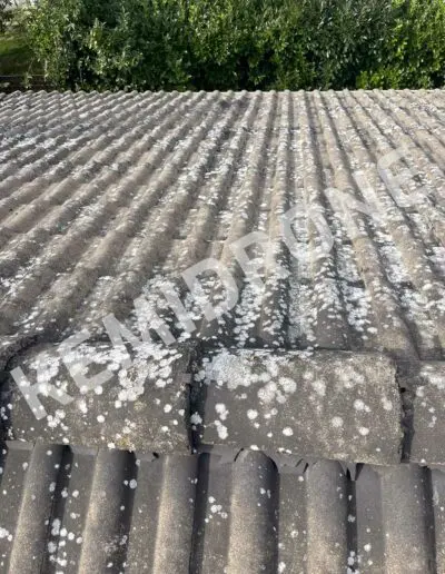 Toiture en tuiles avec mousse.