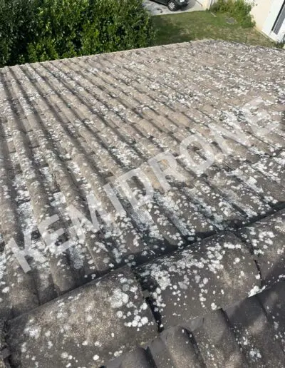 Toit en tuiles avec mousse blanche.