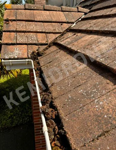 Toit en tuiles avec mousse.