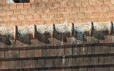 Lichen sur toiture : pourquoi ce que vous prenez pour de la mousse ordinaire fragilise vos tuiles en silence depuis des années