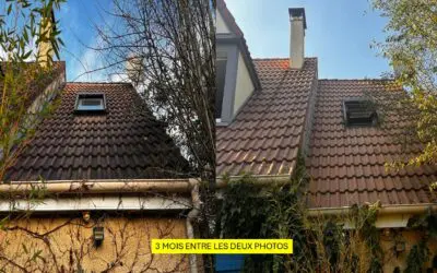 Nettoyage toiture ou démoussage : la vraie différence