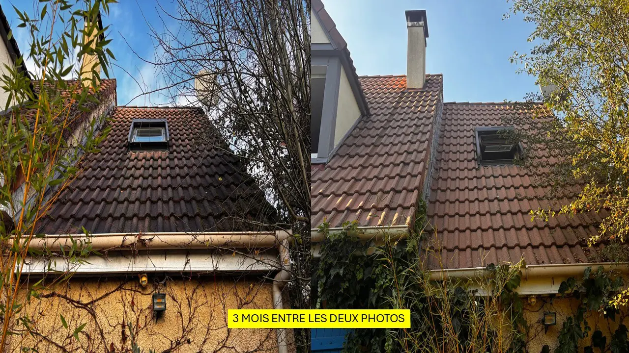 Toiture tuile démoussage biocide partiel Melun